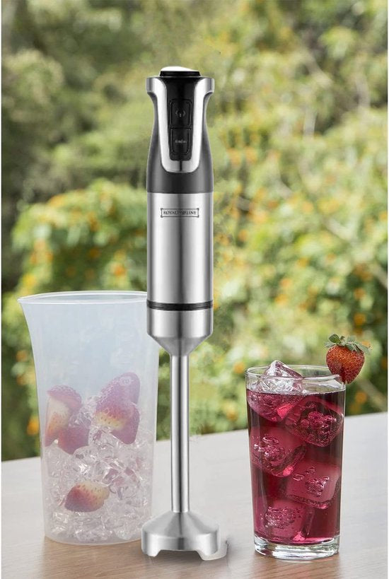 Royalty Line RL-ESTM800: Hand blender and vertical blender